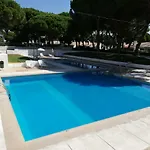 Arvore Da Vida * Albufeira