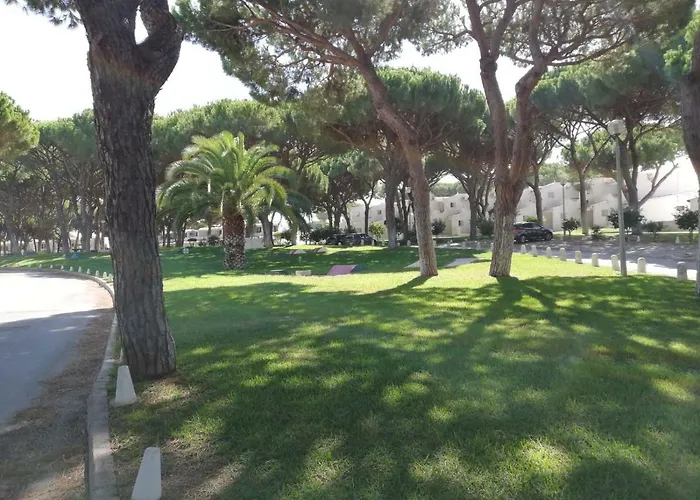 Arvore Da Vida Albufeira