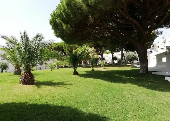 Arvore Da Vida Albufeira