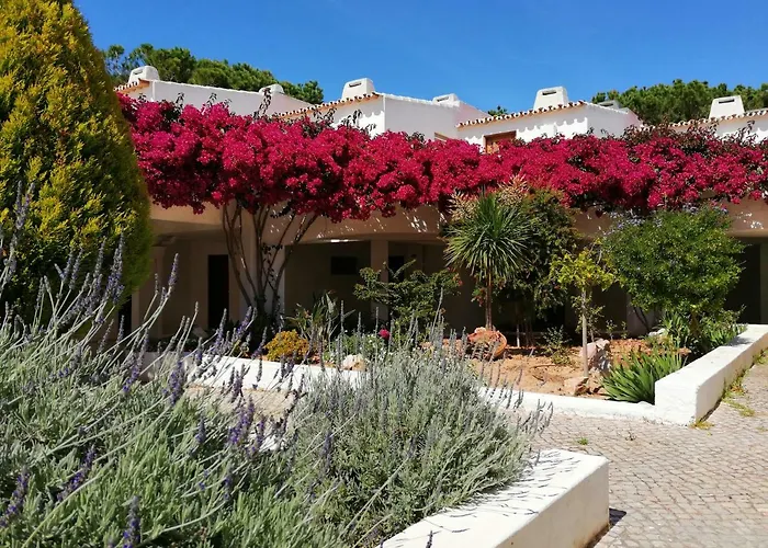 Arvore Da Vida Apartment