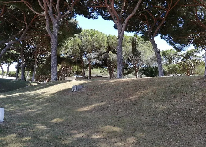 Apartment Arvore Da Vida Albufeira