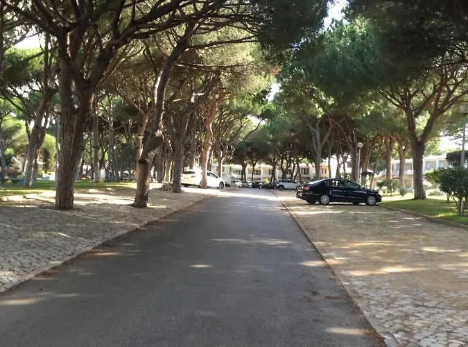 Arvore Da Vida Apartment