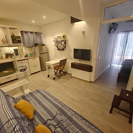 Apartamento Arvore Da Vida