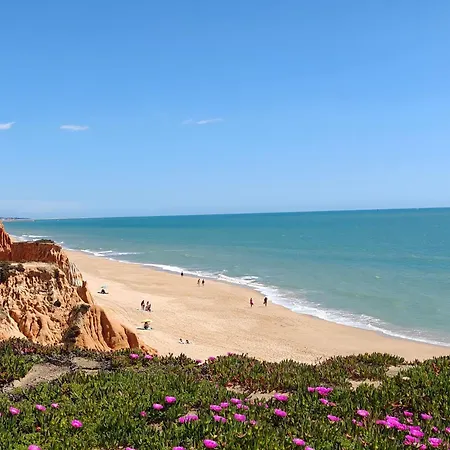 Arvore Da Vida Albufeira