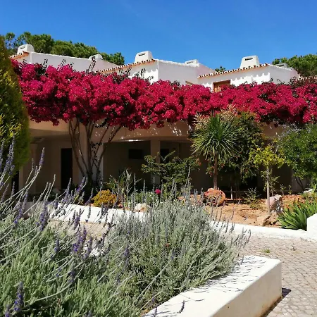 Arvore Da Vida Apartment