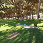 Arvore Da Vida * Albufeira