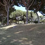 Appartamento Arvore Da Vida Albufeira